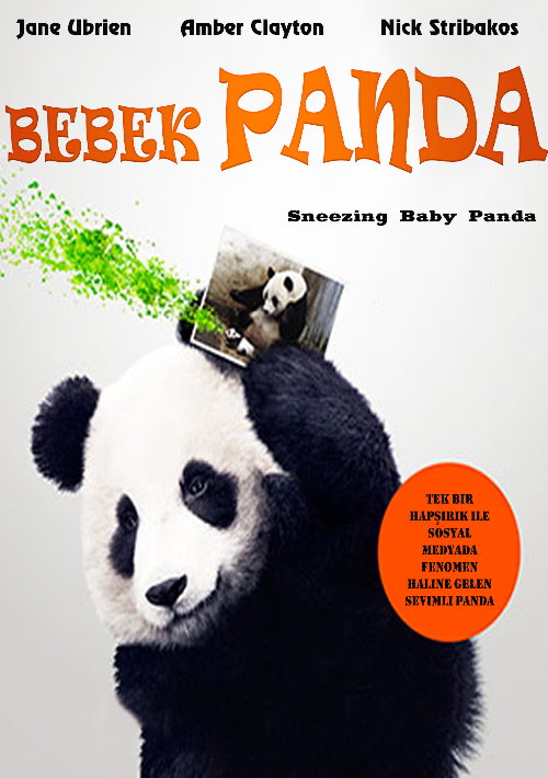 Bebek Panda / Sneezing Baby Panda