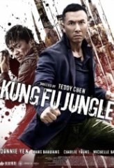 Kung Fu Jungle Türkçe Altyazılı İzle