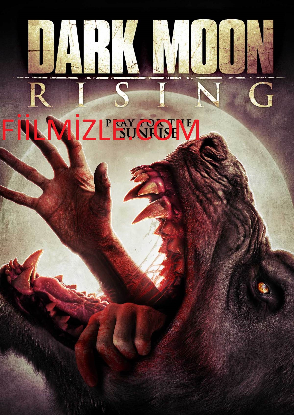 Dark Moon Rising izle