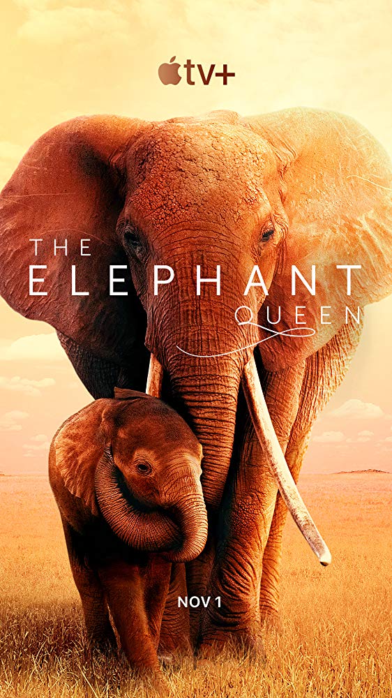 The Elephant Queen izle