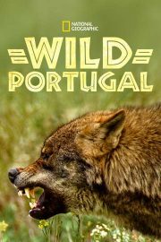 Wild Portugal izle