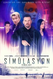 Simulasyon