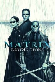 Matrix 3: Revolutions