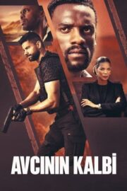 Avcının Kalbi izle