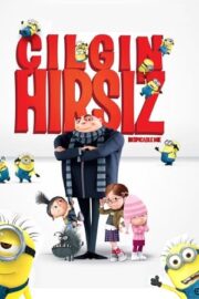 Çılgın Hırsız izle