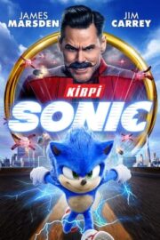 Kirpi Sonic 1 izle