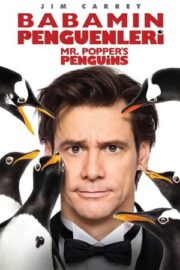 Babamın Penguenleri izle